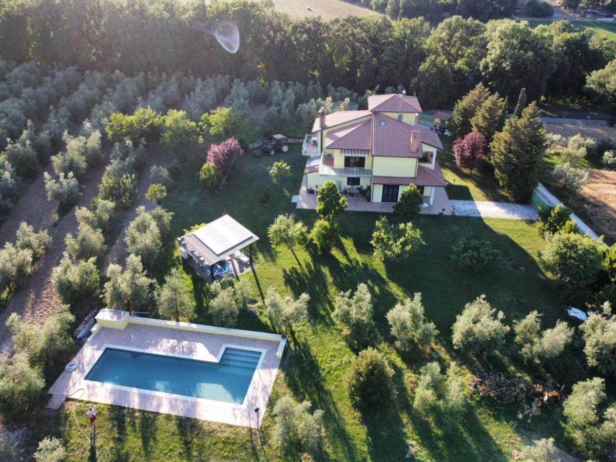 La Casa Nell'Oliveto Bed & Breakfast Acquasparta Exteriör bild