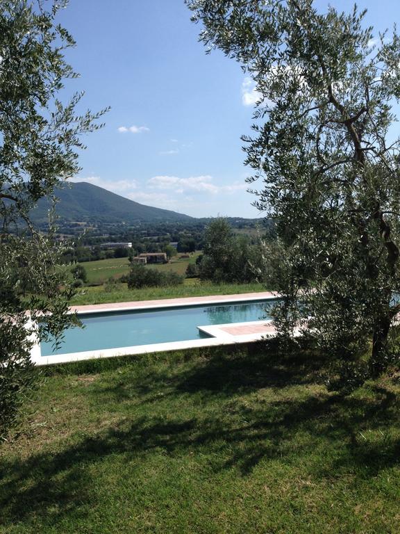 La Casa Nell'Oliveto Bed & Breakfast Acquasparta Exteriör bild